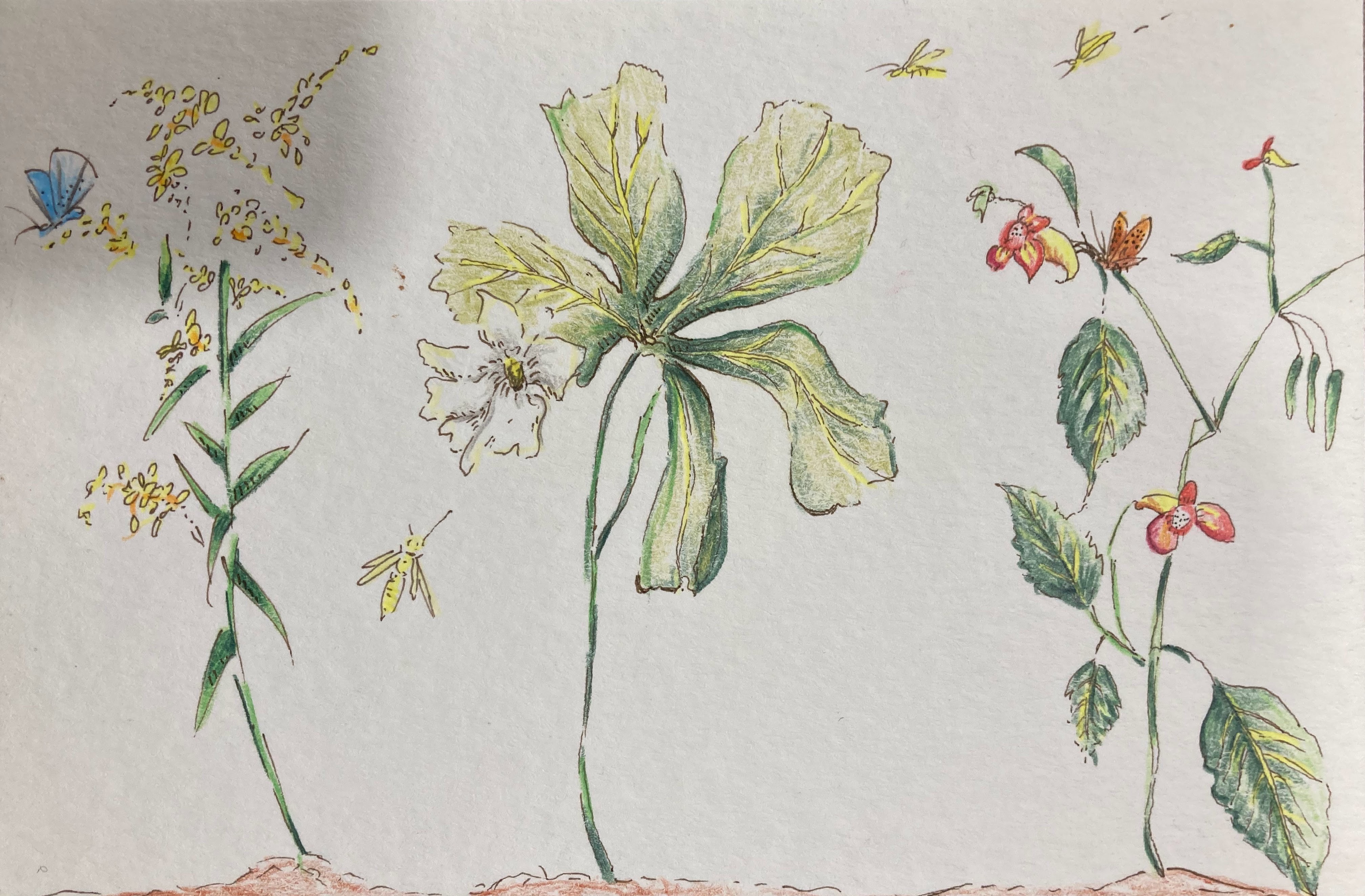 Artwork from the added gallery set