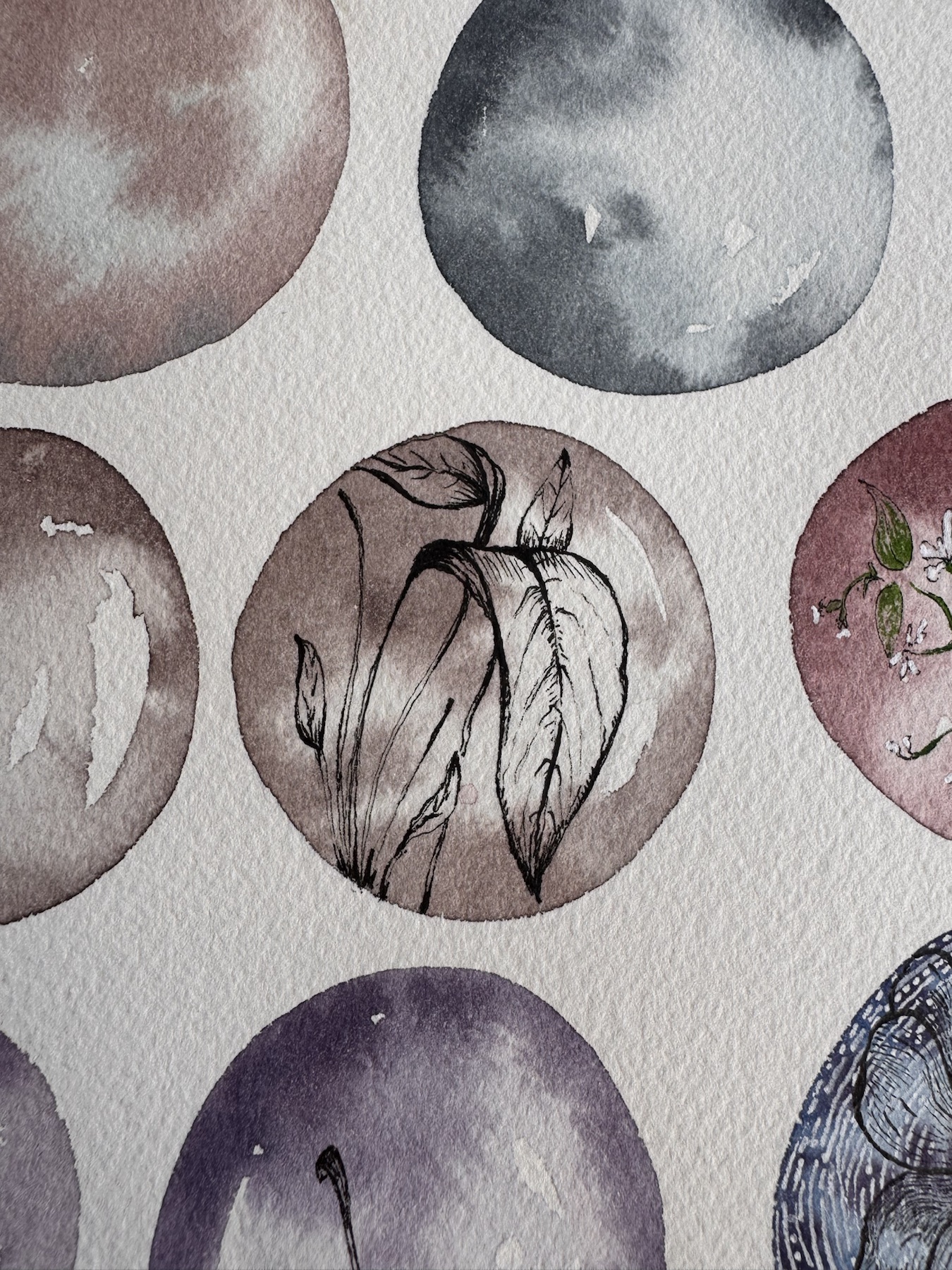 Artwork from the added gallery set