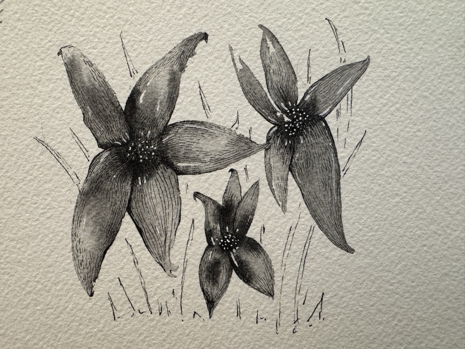 Artwork from the added gallery set