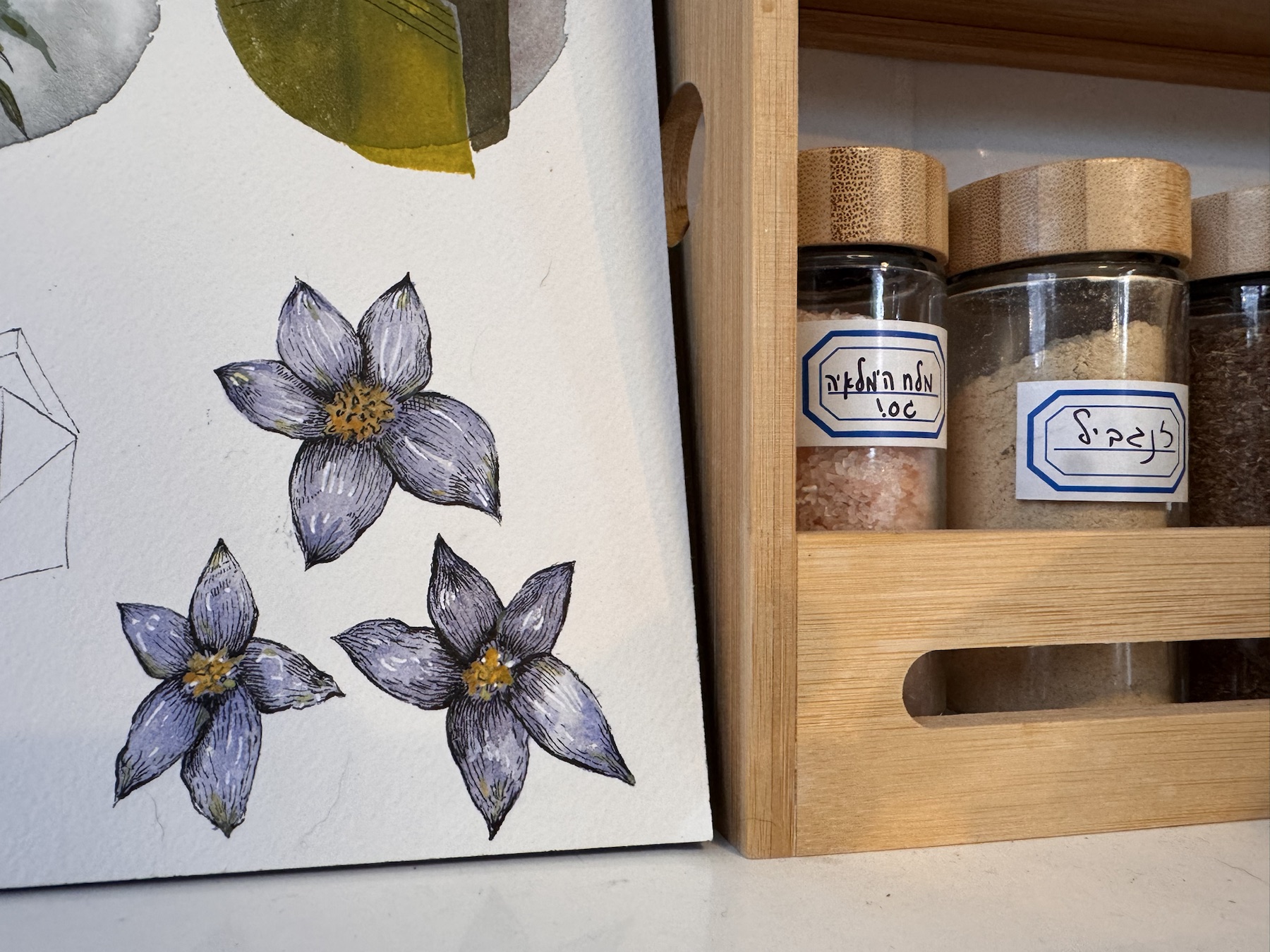 Artwork from the added gallery set