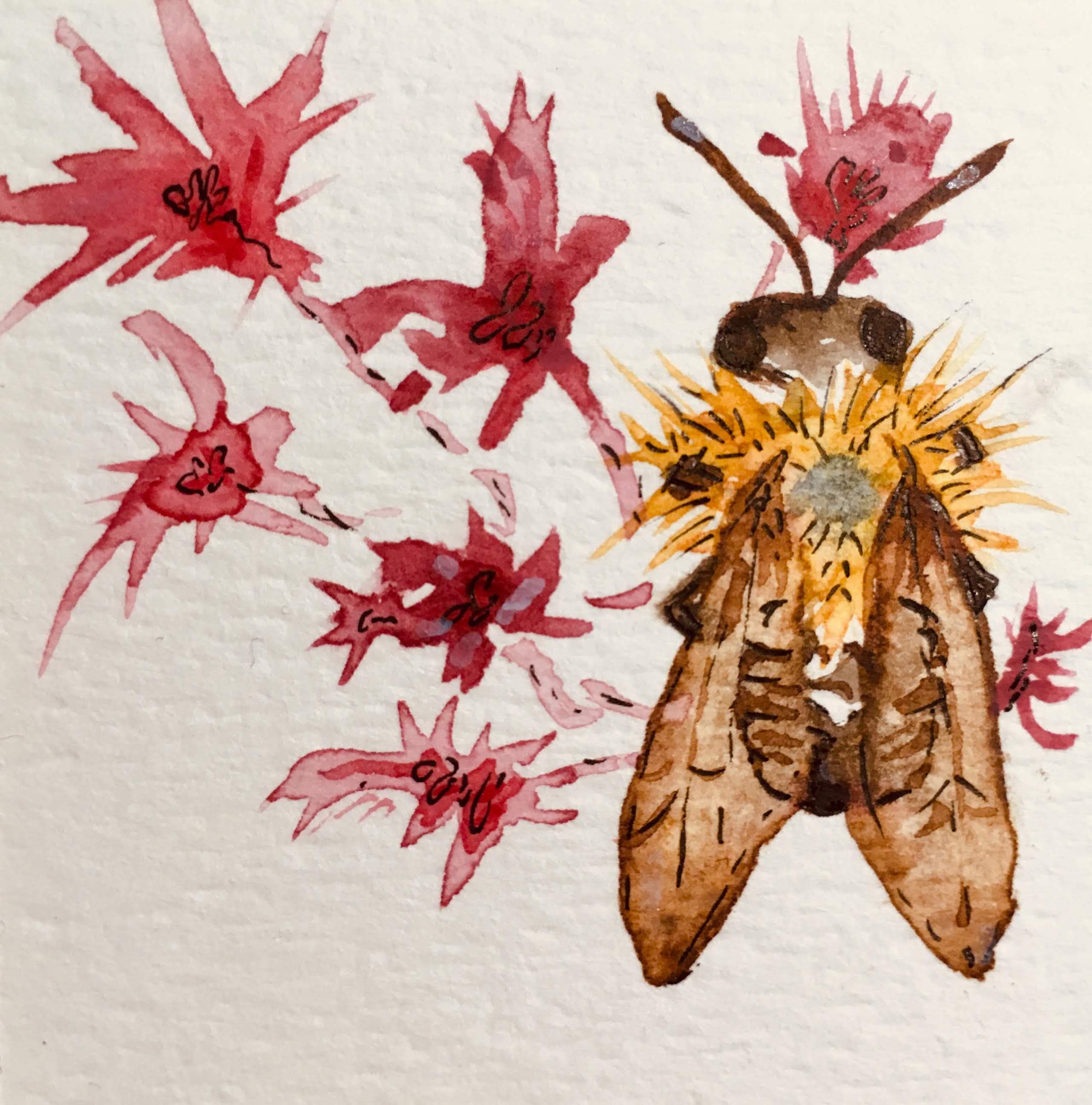 Scientific illustration of a bee on a flower