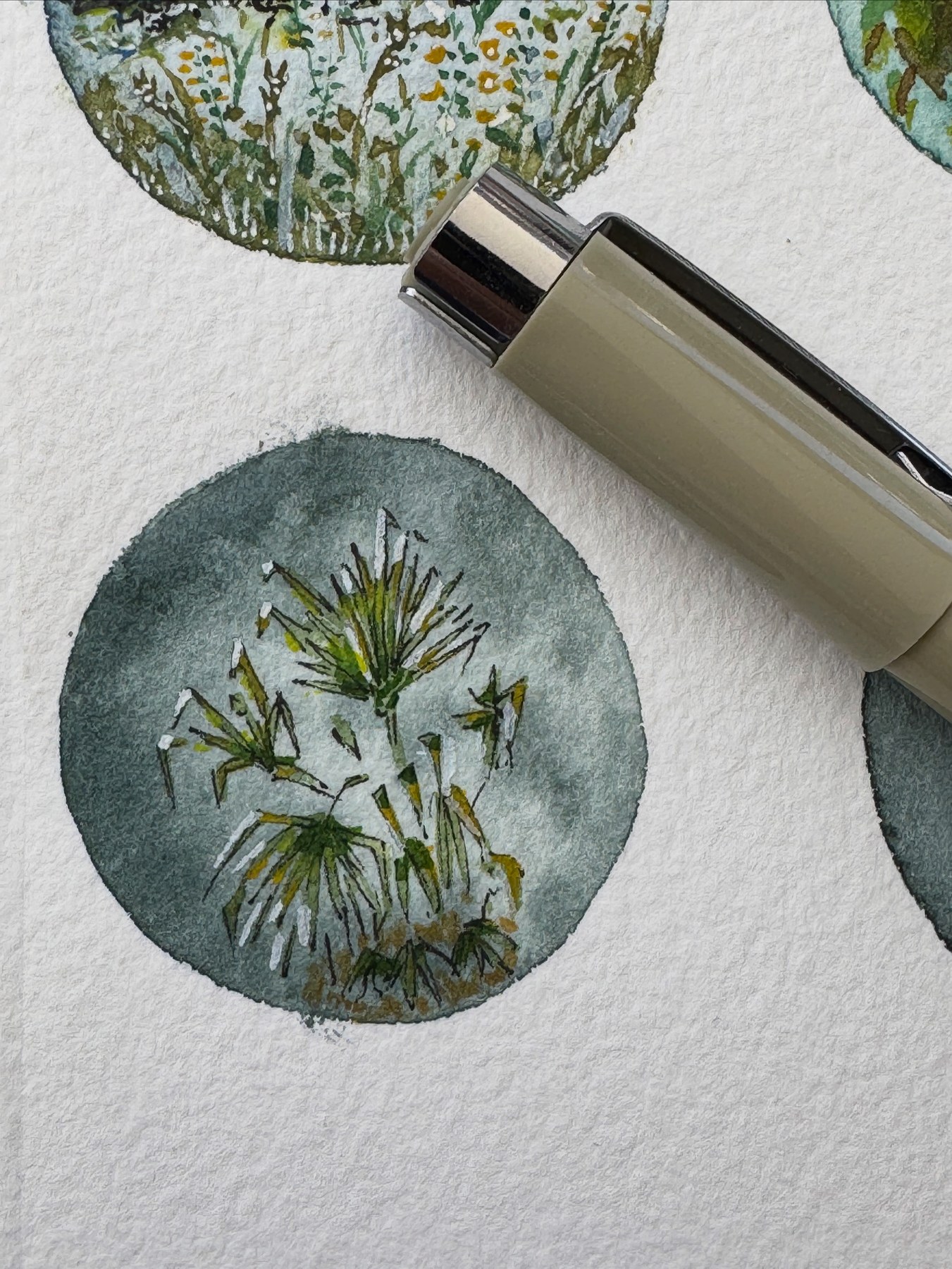 Botanical watercolor studies beside a pen