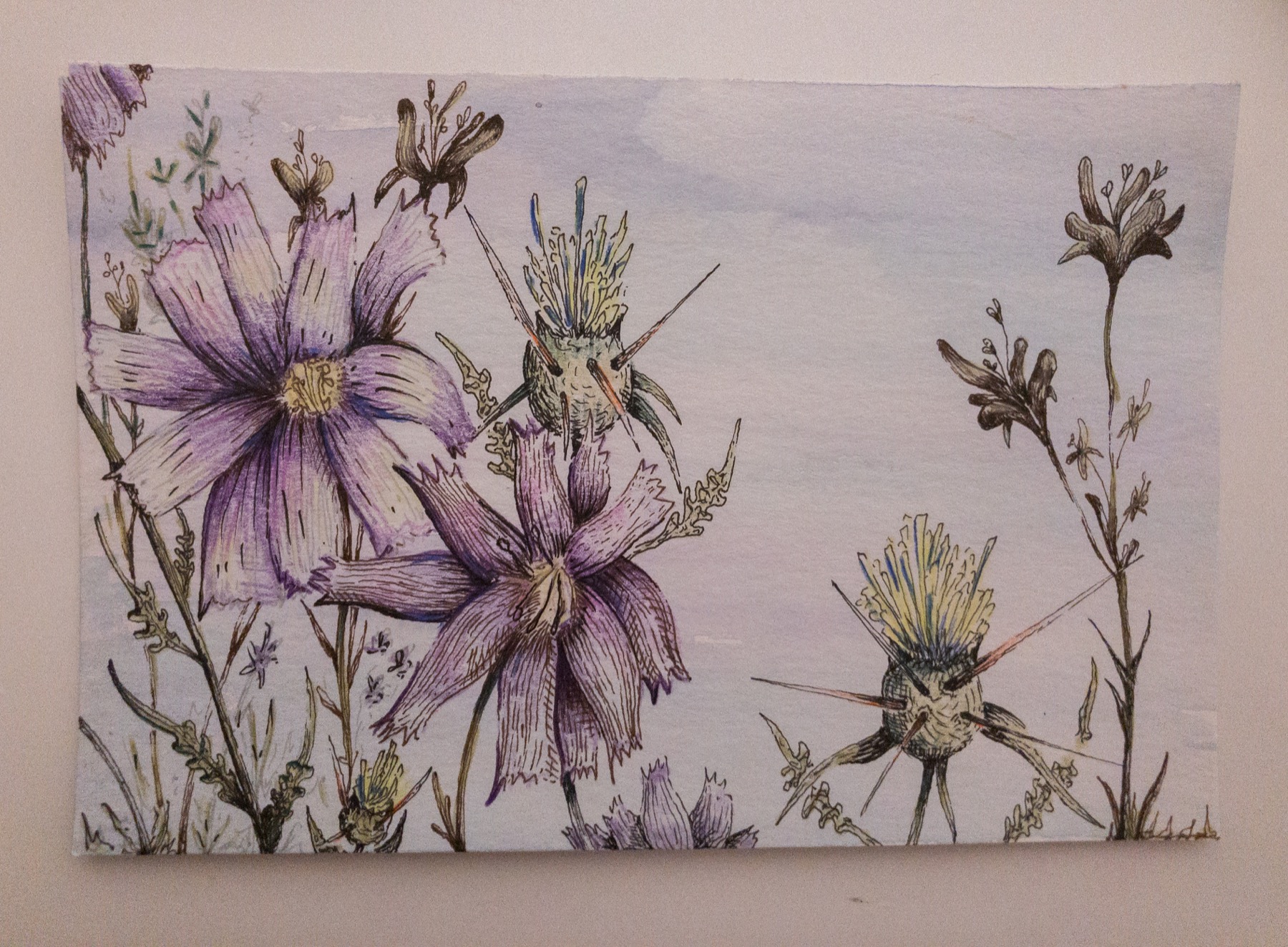 Watercolor and ink desert wildflowers