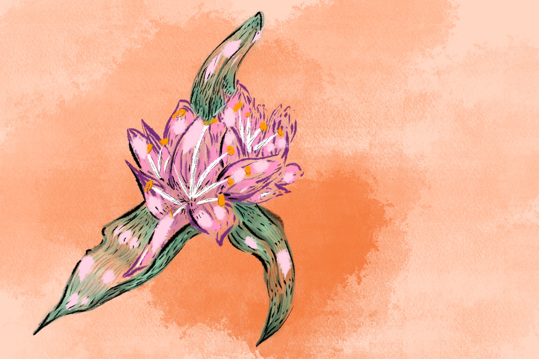 Desert flower painting