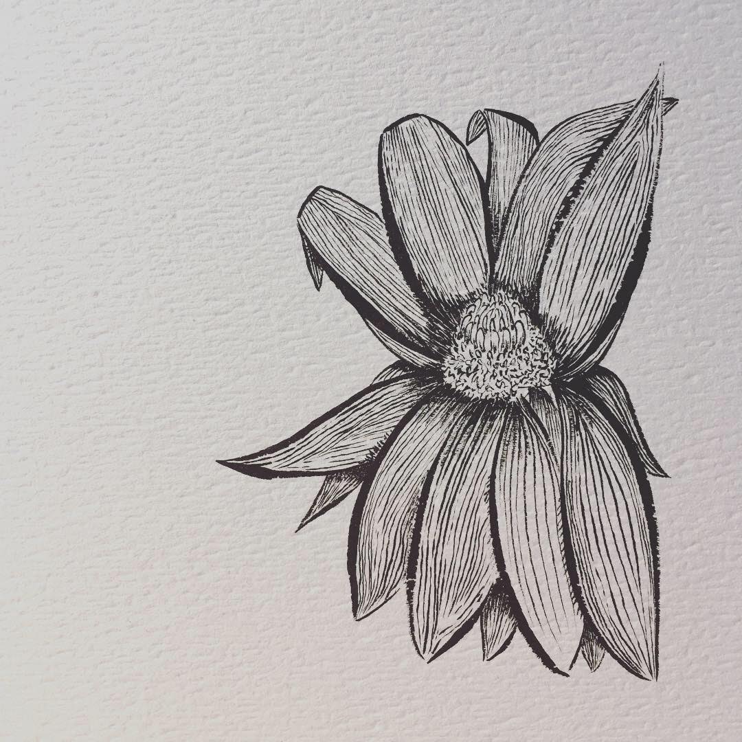Large line drawing of a flower