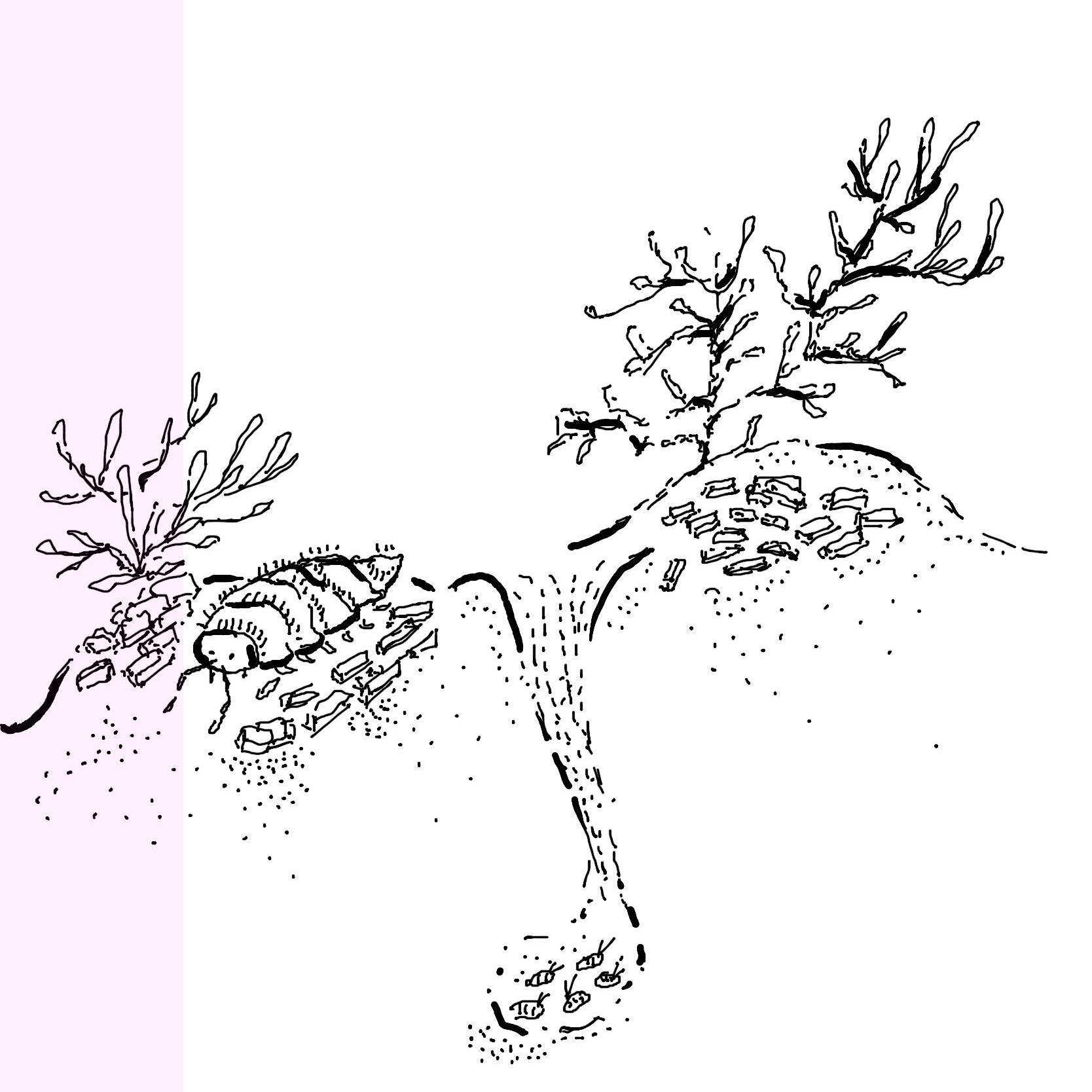 Isopod burrow cartoon