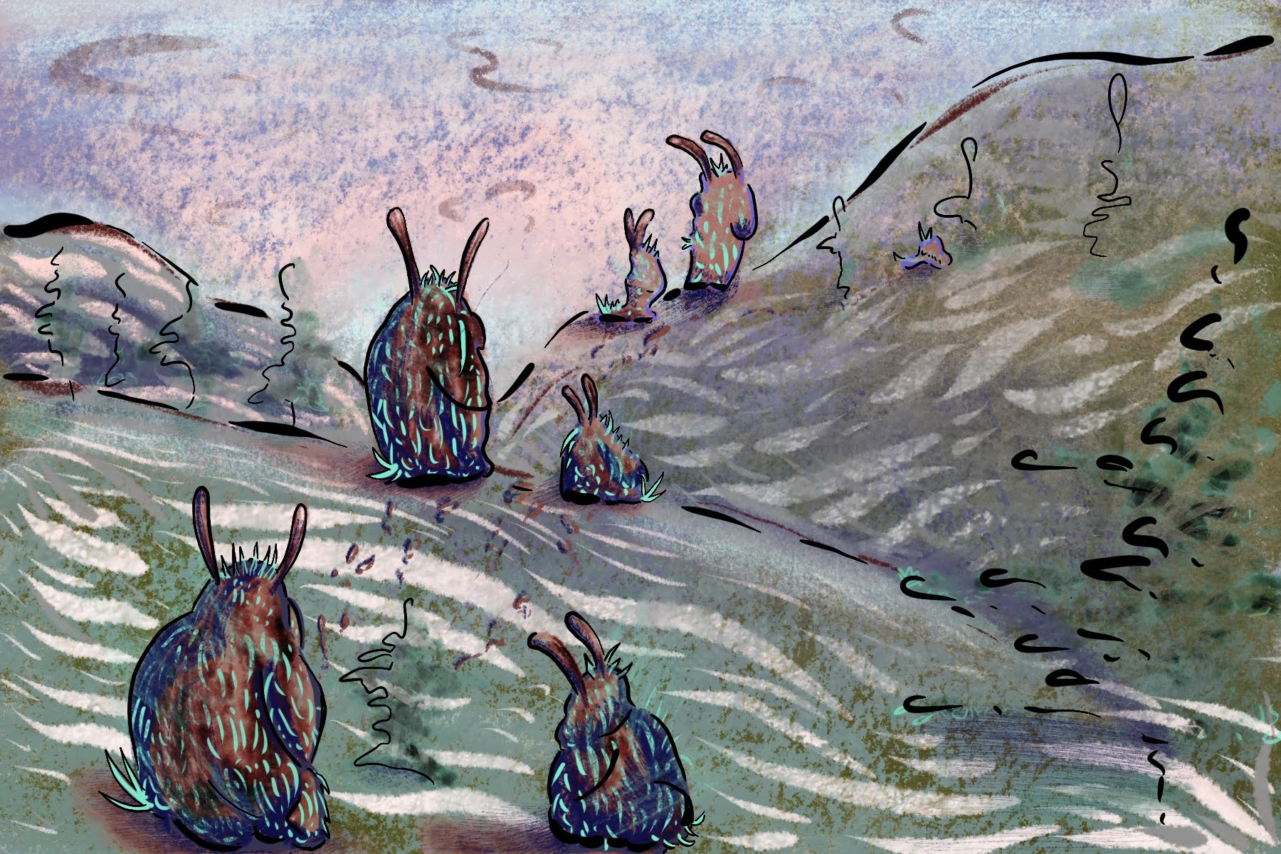 Rabbit illustration