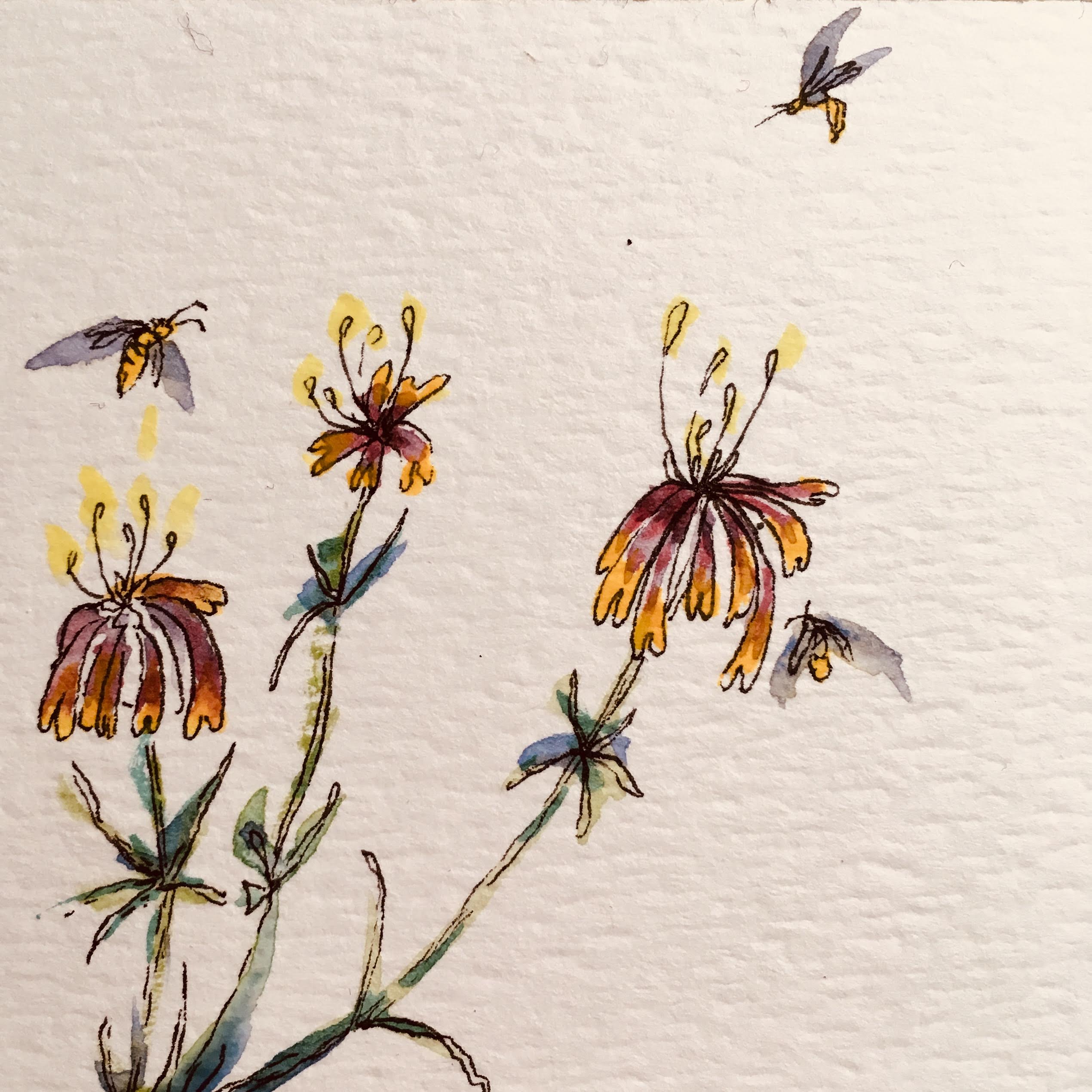Tiny flower illustrations