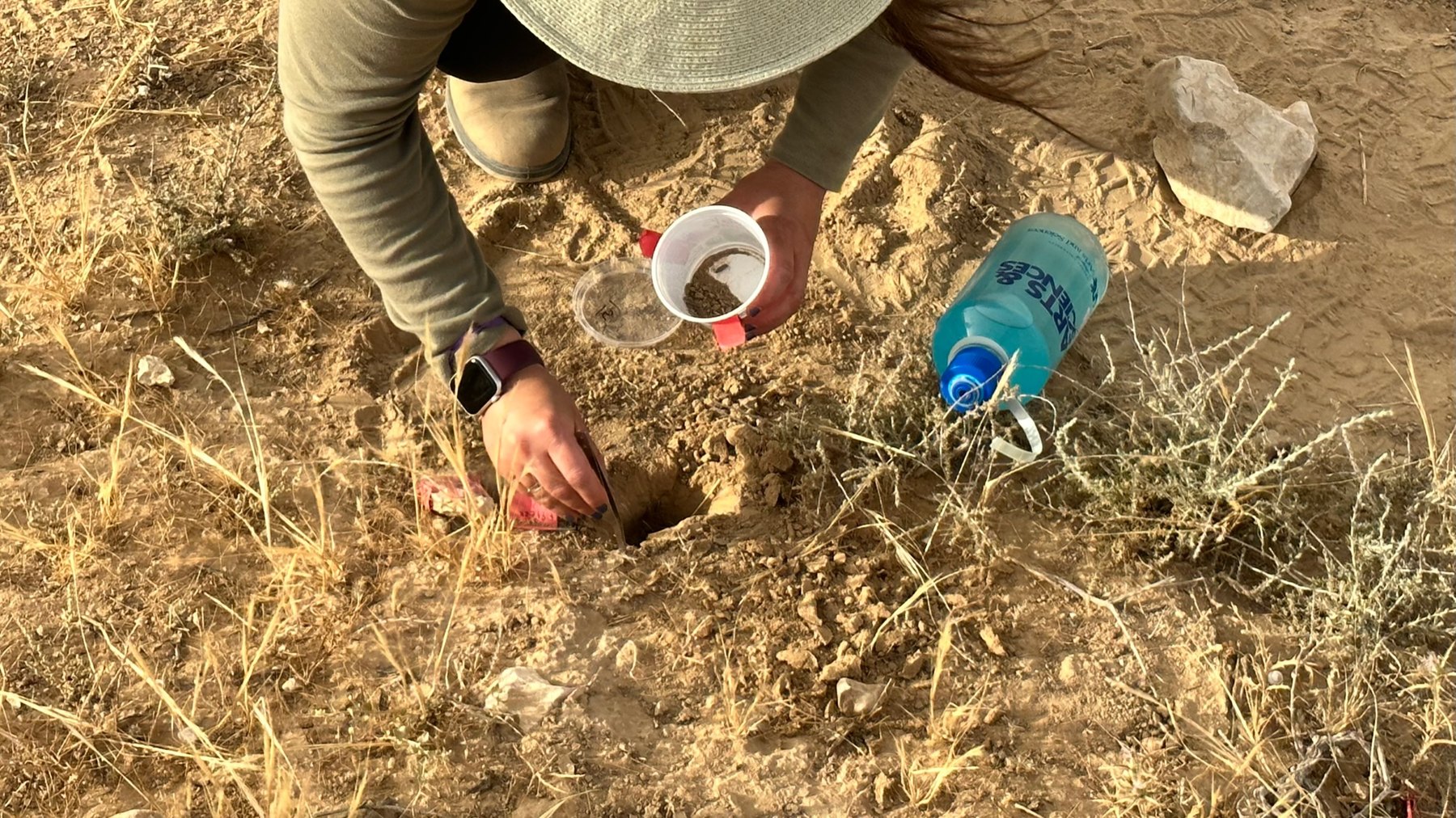 Karmi collecting isopods at a desert burrow