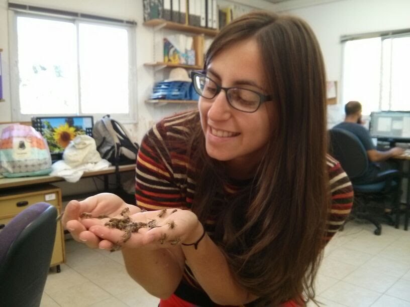 Karmi holding bees in the Shafir lab