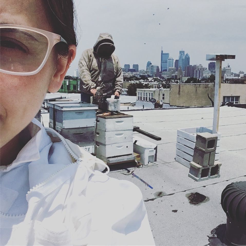Karmi on Philadelphia rooftops with beehives
