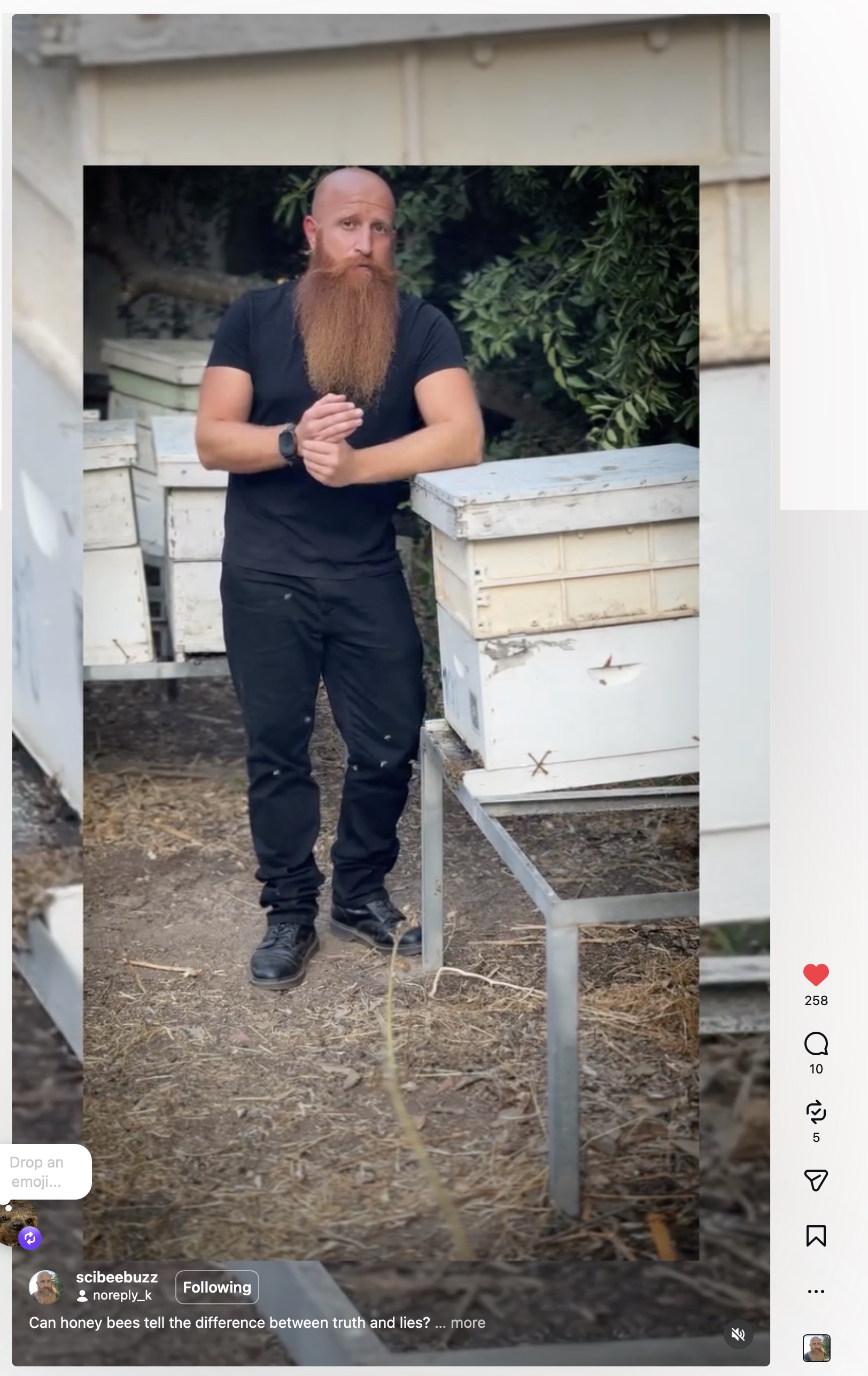Instagram reel preview for honey bee dance research