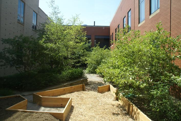 Oberlin Science Center teaching garden